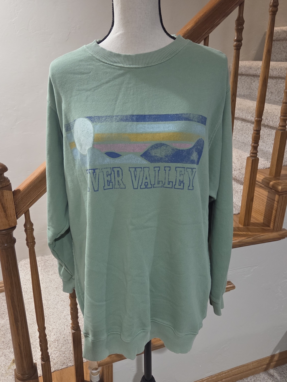 aerie Sage Green Retro Graphic Pullover Sweatshirt